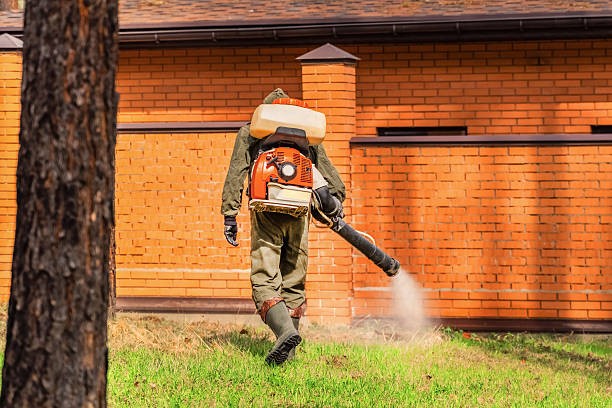 Trusted Bed Bug Control service in Donaldsonville, LA - Nex Pest Control